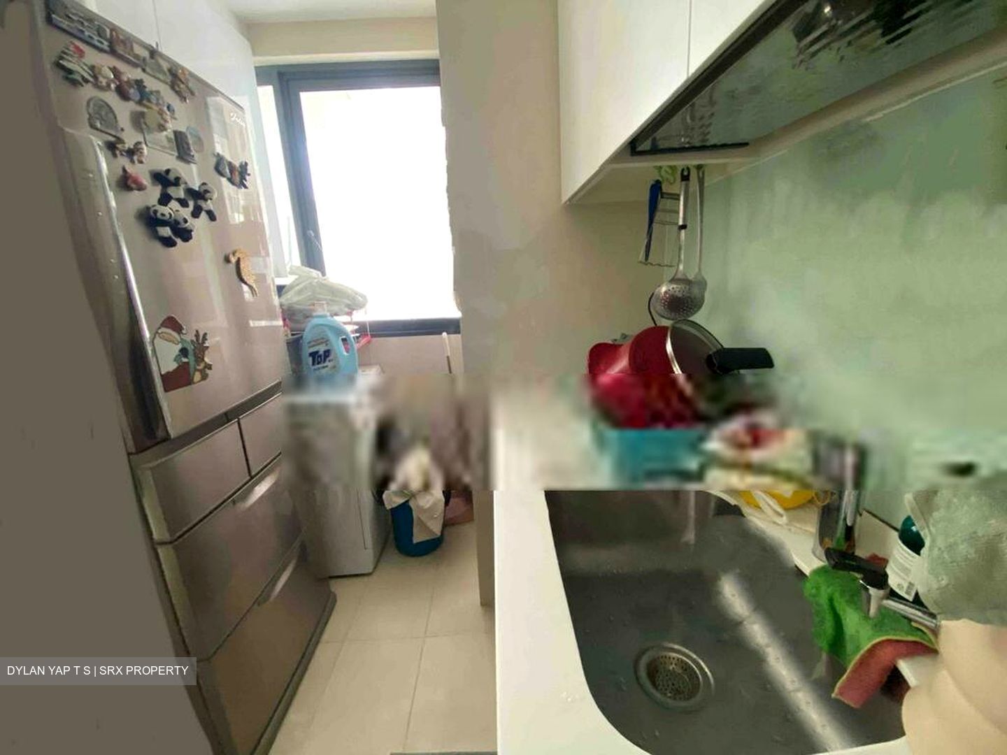 Riversound Residence (D19), Condominium #403103221